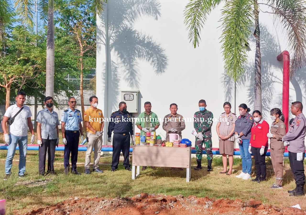 Cegah Masuknya HPHK-OPTK, Karantina Pertanian Kupang Lakukan Pemusnahan