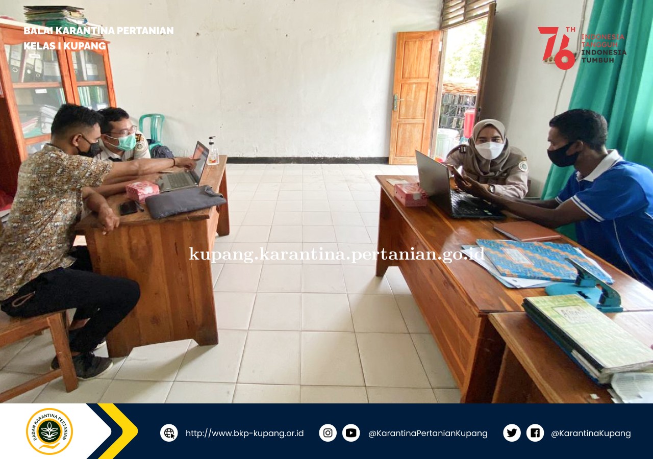 Kenalkan Aplikasi Imace, Karantina Pertanian Kupang Sukseskan Kegiatan Merdeka Ekspor