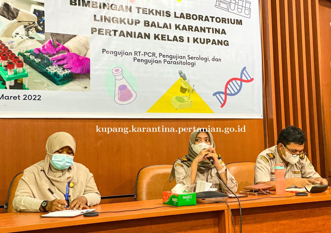 Tingkatkan Kompetensi, Karantina Pertanian Kupang Gelar Bimtek Laboratorium