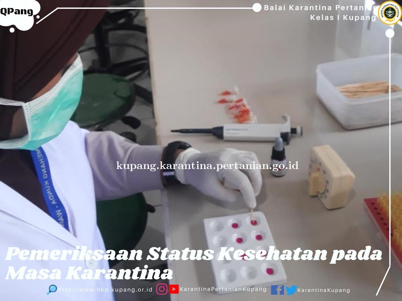 Pemeriksaan Status Kesehatan pada Masa Karantina