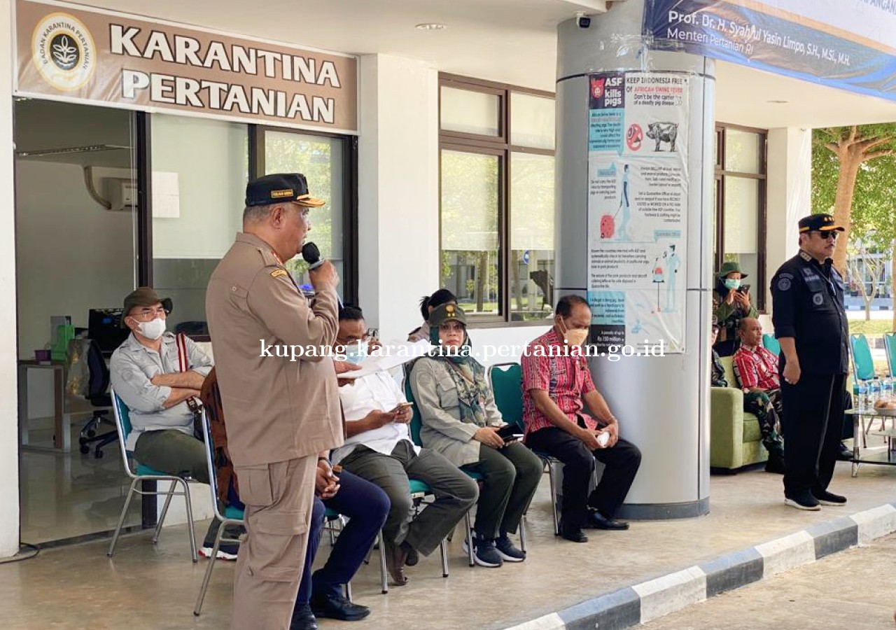 Optimalkan Peran Karantina Pertanian, Irjen Kementan Kunjungi PLBN Motaain