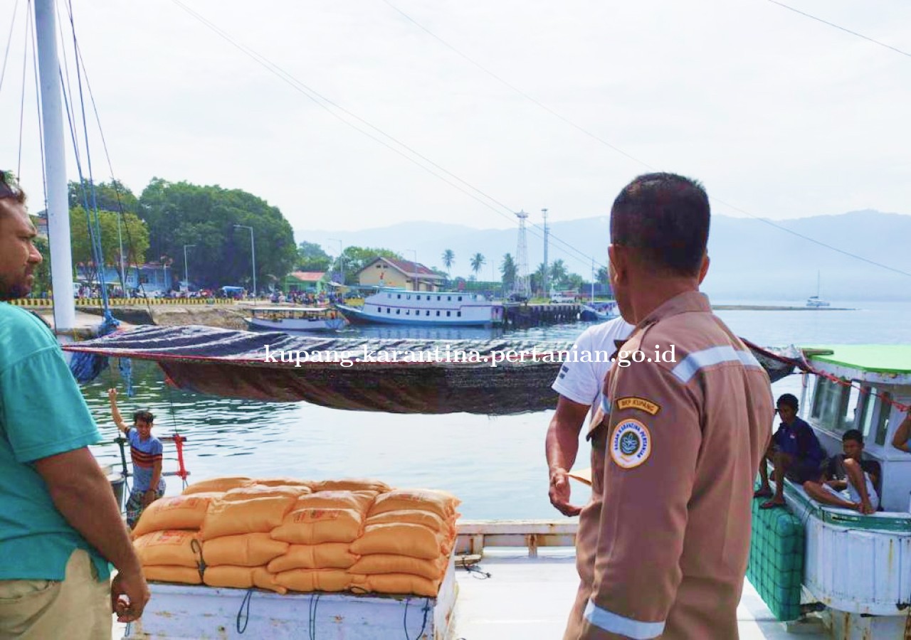 Berdokumen Karantina, Ratusan Ton Beras Pasok Kebutuhan Pangan di Alor