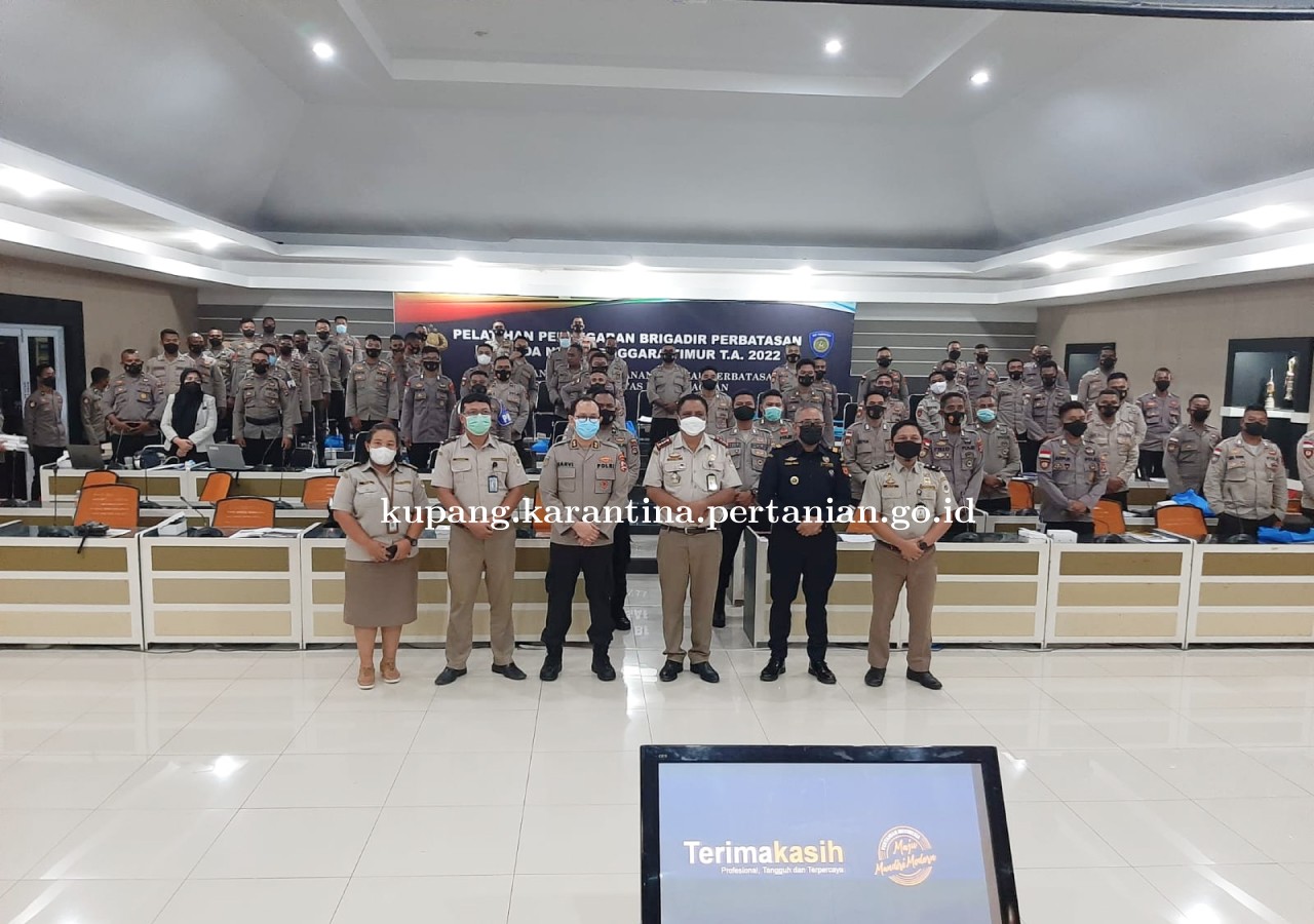 Yulius Paparkan Strategi Perkarantinaan pada Pelatihan Penyegaran Brigadir Perbatasan
