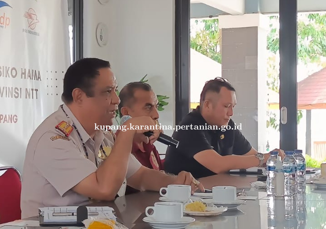 Target Zero Risk PMK, Karantina Pertanian Kupang Gencarkan Sosialisasi