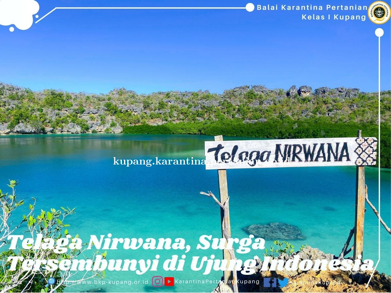 Layout Berita